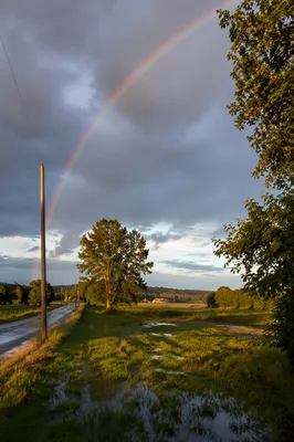Pastel Rainbow Over Rain-Soaked Countryside