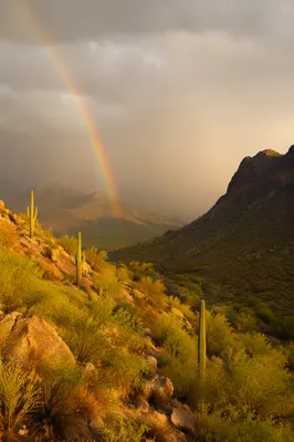 Rainbow Over Rain-Washed Desert Valley