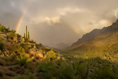 Rainbow Over Rainwashed Desert Valley