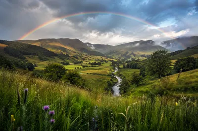 Rainbow Over Lush Valley After Rain