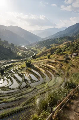 Morning Rice Terraces in Asian Mountain Valley
