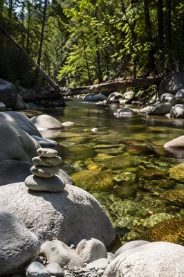 Clear River Through Rocky Forest Canyon