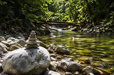 Clear River Through Rocky Forest Canyon