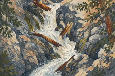 Whitewater Rapids Through Rocky Cedar Gorge