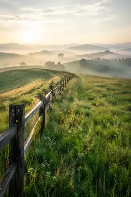 Rolling Green Hills with Rustic Fence