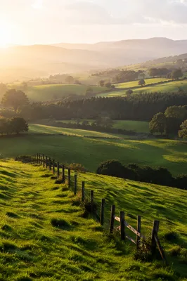 Rolling Green Hills with Rustic Fence