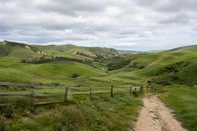 Rolling Green Pasture Hills with Rustic Fence