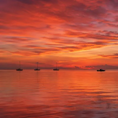 Peaceful Sailboats on Ocean Sunset Horizon