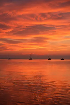Peaceful Sailboats on Ocean Sunset Horizon