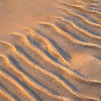 Abstract Desert Sand Ripples Overhead Pattern