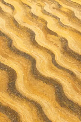 Golden Desert Sand Ripples Abstract Pattern