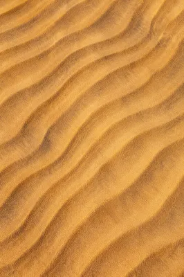 Overhead Desert Sand Ripple Abstract Pattern