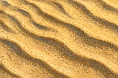 Golden Desert Sand Ripple Pattern