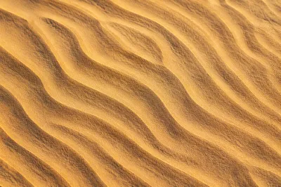 Overhead Desert Sand Ripples Abstract Pattern