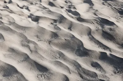 Overhead Desert Sand Ripple Texture