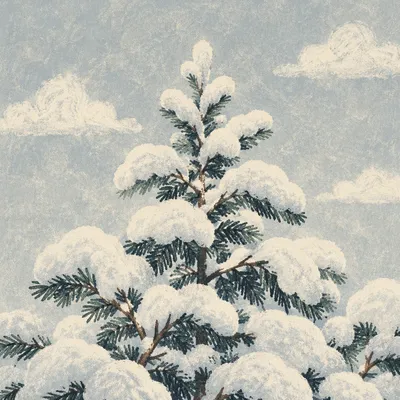 Snow Covered Pine Tree Winter Wonderland