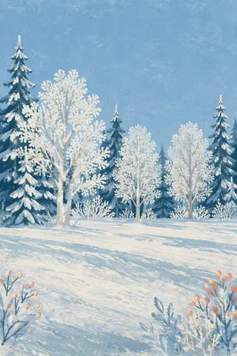 Snow Covered Pine Trees Winter Wonderland