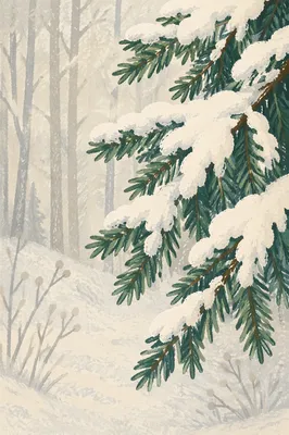 Snow Laden Pine Branches in Winter Forest