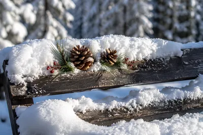 Snowy Pinecone Bench in Winter Wonderland