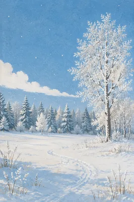 Peaceful Snowfall Over Winter Woodland Meadow