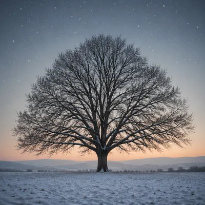 Peaceful Snowfall Over Winter Tree at Dusk