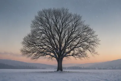 Peaceful Snowfall Over Winter Tree at Dusk