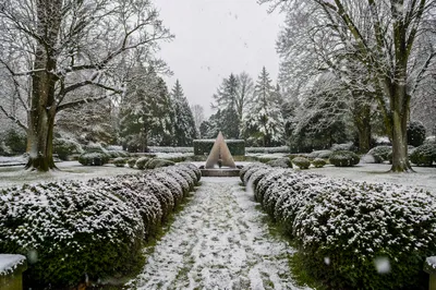 Peaceful Snowfall Garden with Winter Trees