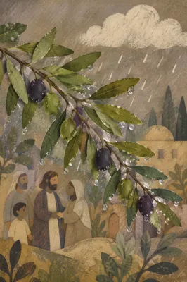 Spring Raindrops on Evergreen Leaves