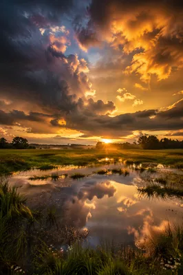 Golden Sunset After Thunderstorm Over Meadow