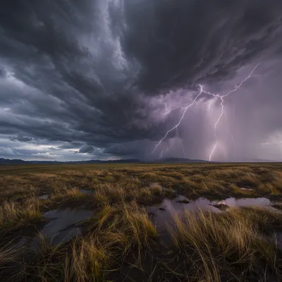 Lightning Over Windswept Open Plain