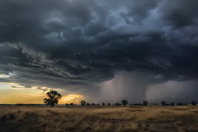 Approaching Thunderstorm Over Open Grassland