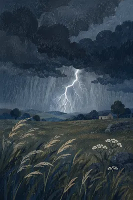 Lightning Storm Over Rural Summer Field