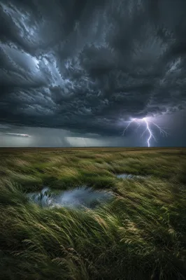 Lightning Storm Over Wild Meadow Sky