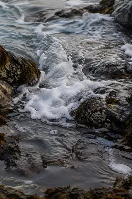 Coastal Tide Pools With Foamy Ocean Waves