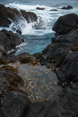 Volcanic Tide Pools Along Rugged Coast