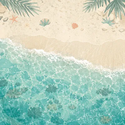 Aerial Tropical Beach With Turquoise Shoreline