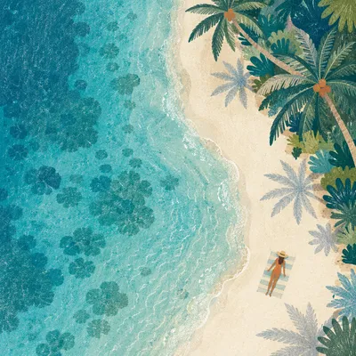 Serene Tropical Beach Aerial Lagoon View