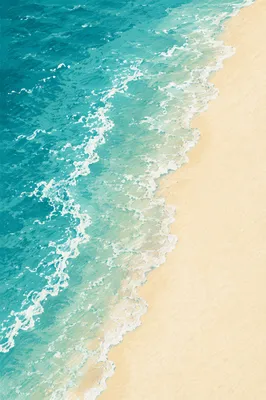Turquoise Tropical Shoreline Aerial Beach View