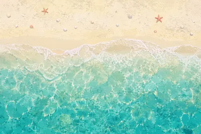 Aerial Tropical Beach with Turquoise Shoreline