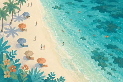 Aerial Tropical Beach with Turquoise Waters