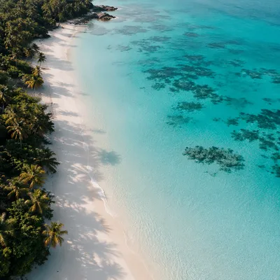 Secluded Tropical Beach Aerial Morning View
