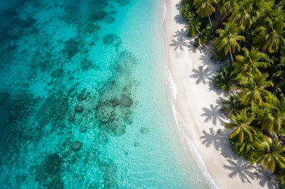 Aerial Tropical Beach with Turquoise Lagoon