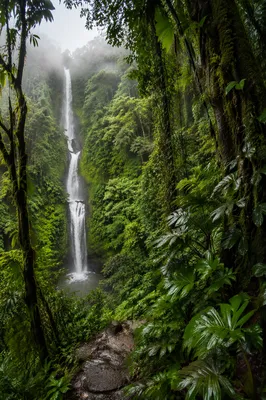 Misty Tropical Waterfall Beneath Green Canopy