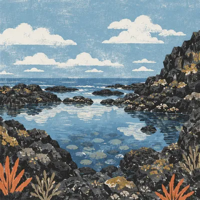 Serene Black Lava Coast Tide Pool