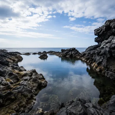 Serene Black Lava Coast Tide Pool