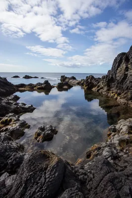 Serene Black Lava Coast Tide Pool
