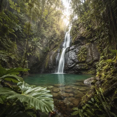 Secluded Tropical Waterfall in Lush Jungle