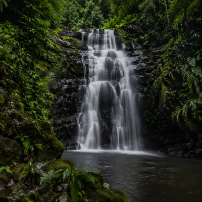 Secluded Tropical Jungle Waterfall Landscape