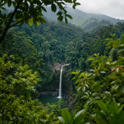 Secluded Tropical Waterfall in Lush Jungle