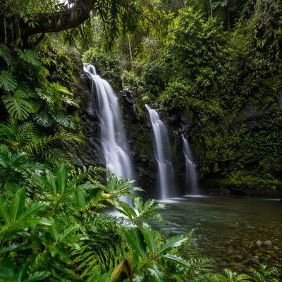 Tropical Jungle Waterfall After Rain